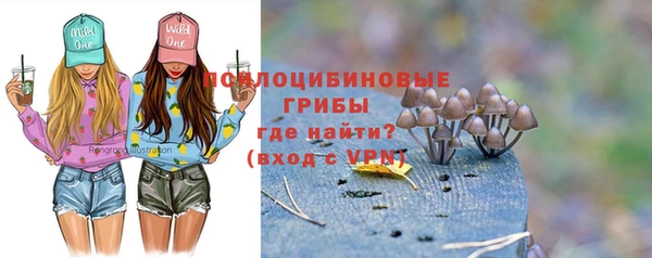 гашик Надым