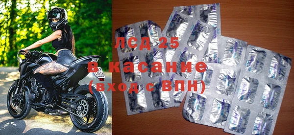 гашик Надым