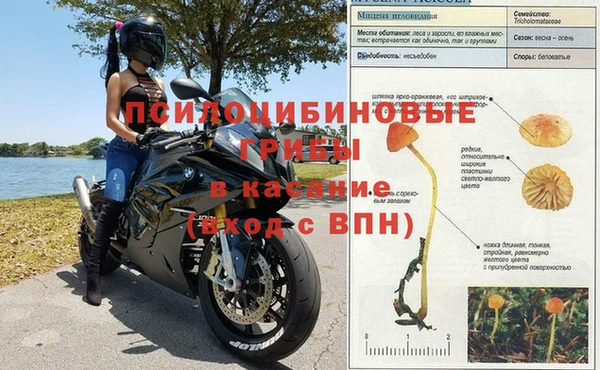 гашик Надым