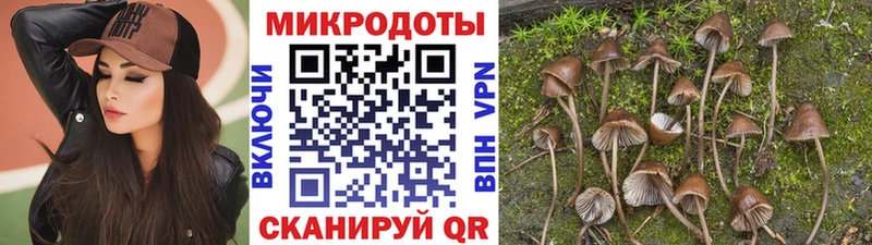 Псилоцибиновые грибы прущие грибы Суоярви
